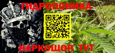 прущие грибы Донецк