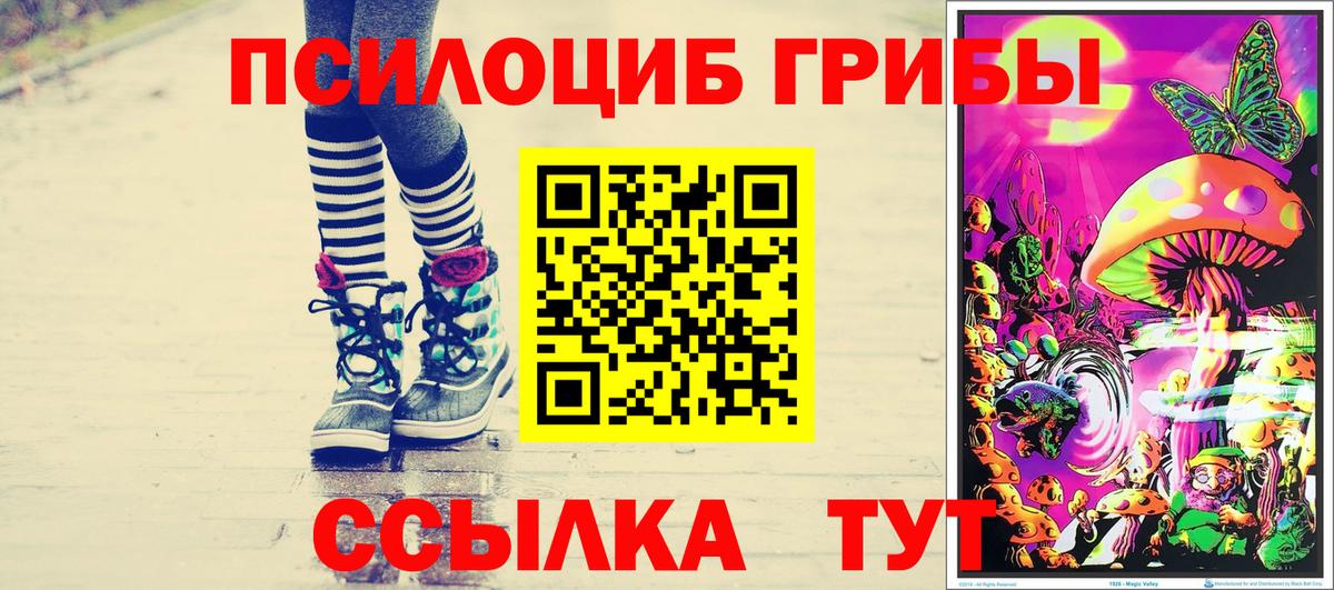 Миасс  Галлюциногенные грибы Psilocybine cubensis  Вход с VPN 